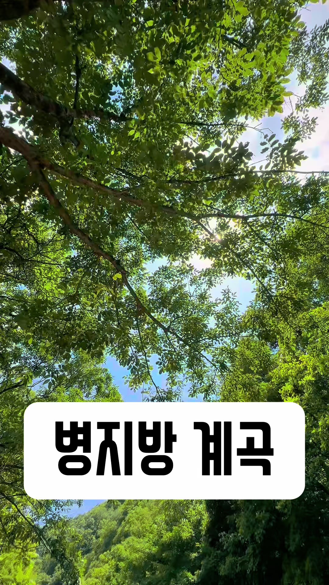@파메스테틱 피부 상담-헬렌스킨케어