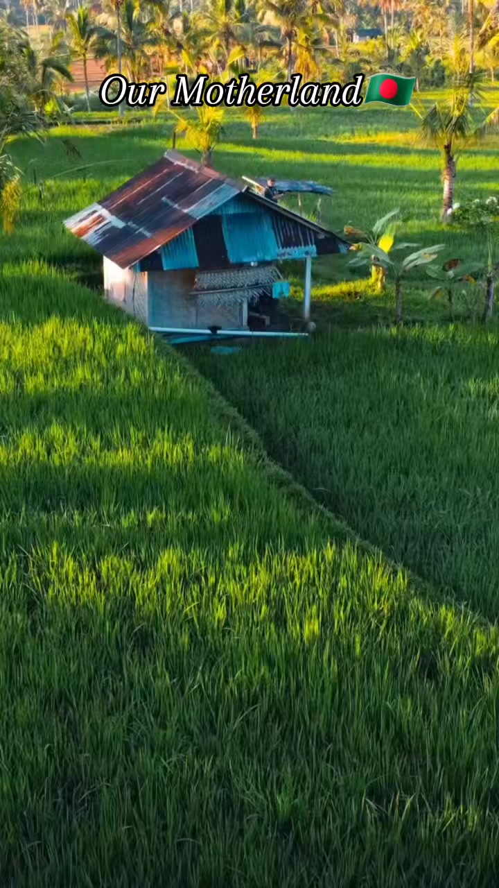 @Saiful Islam Rakin🇧🇩🇦