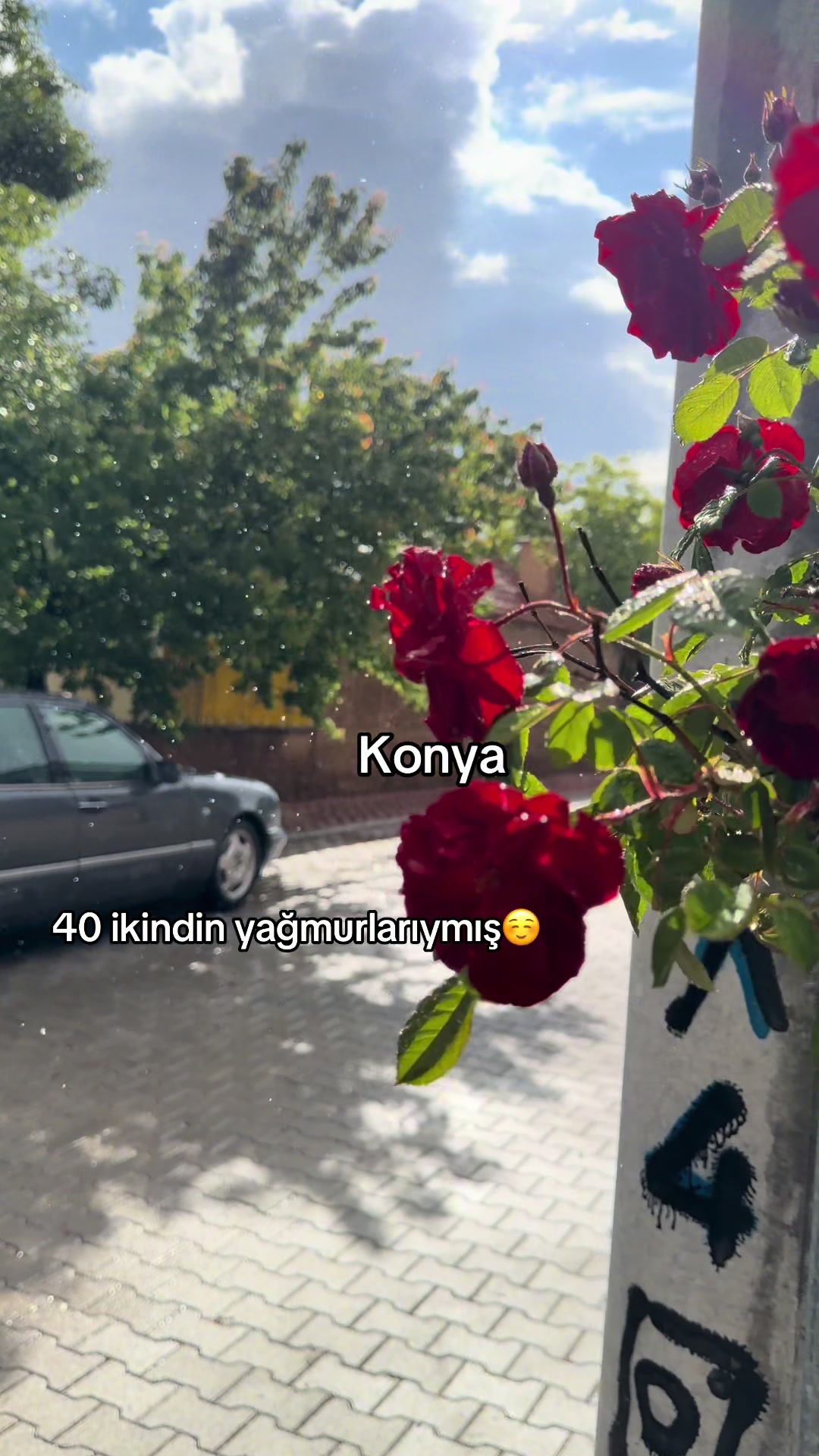 @𝐒𝐔𝐌𝐄𝐘𝐑𝐀 𝐓𝐏
