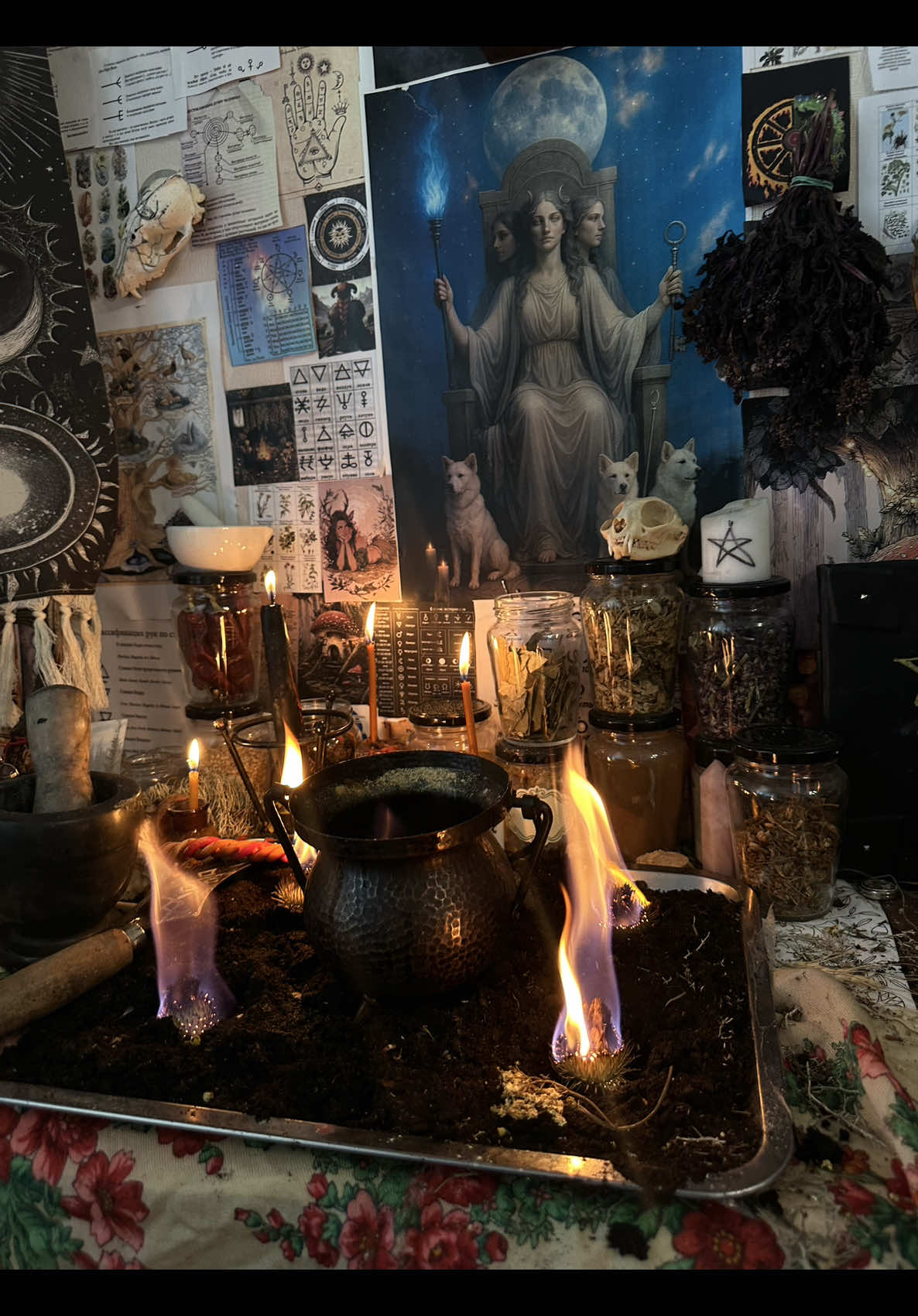 @🌒Магічна обитель🌘