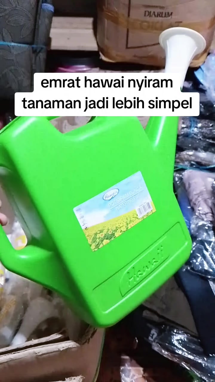 @Annisa