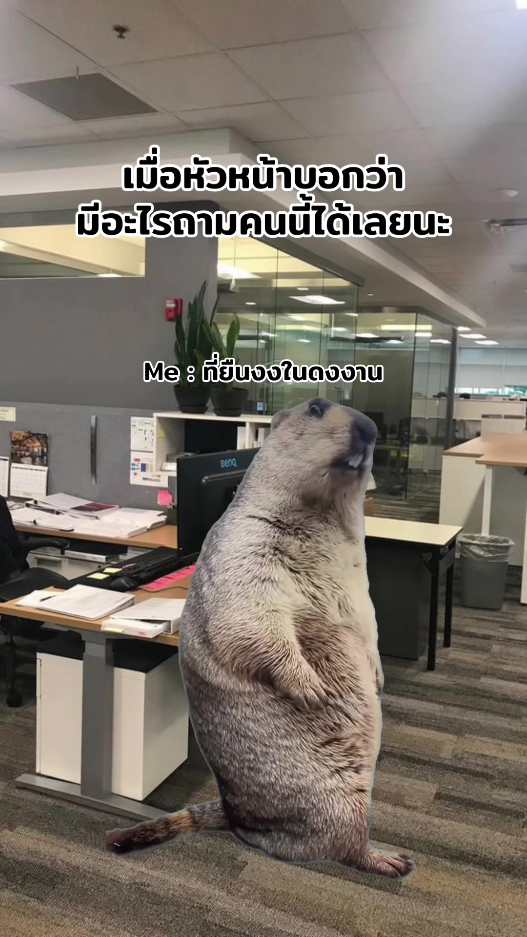 @ฮิปโปตด
