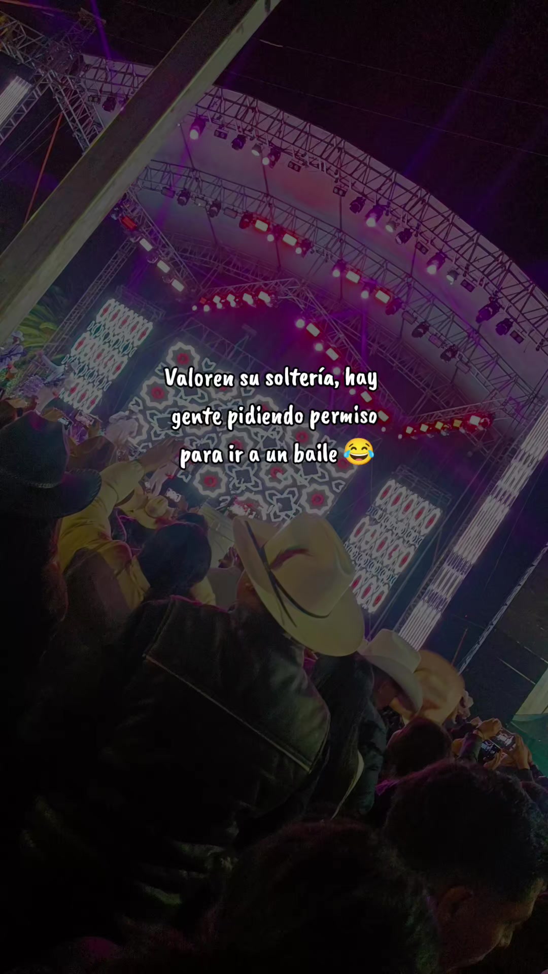 @🐝ܔܢܜܔ
