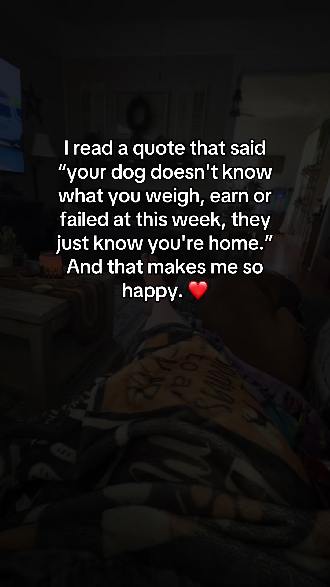 @IndianaBoxerMom