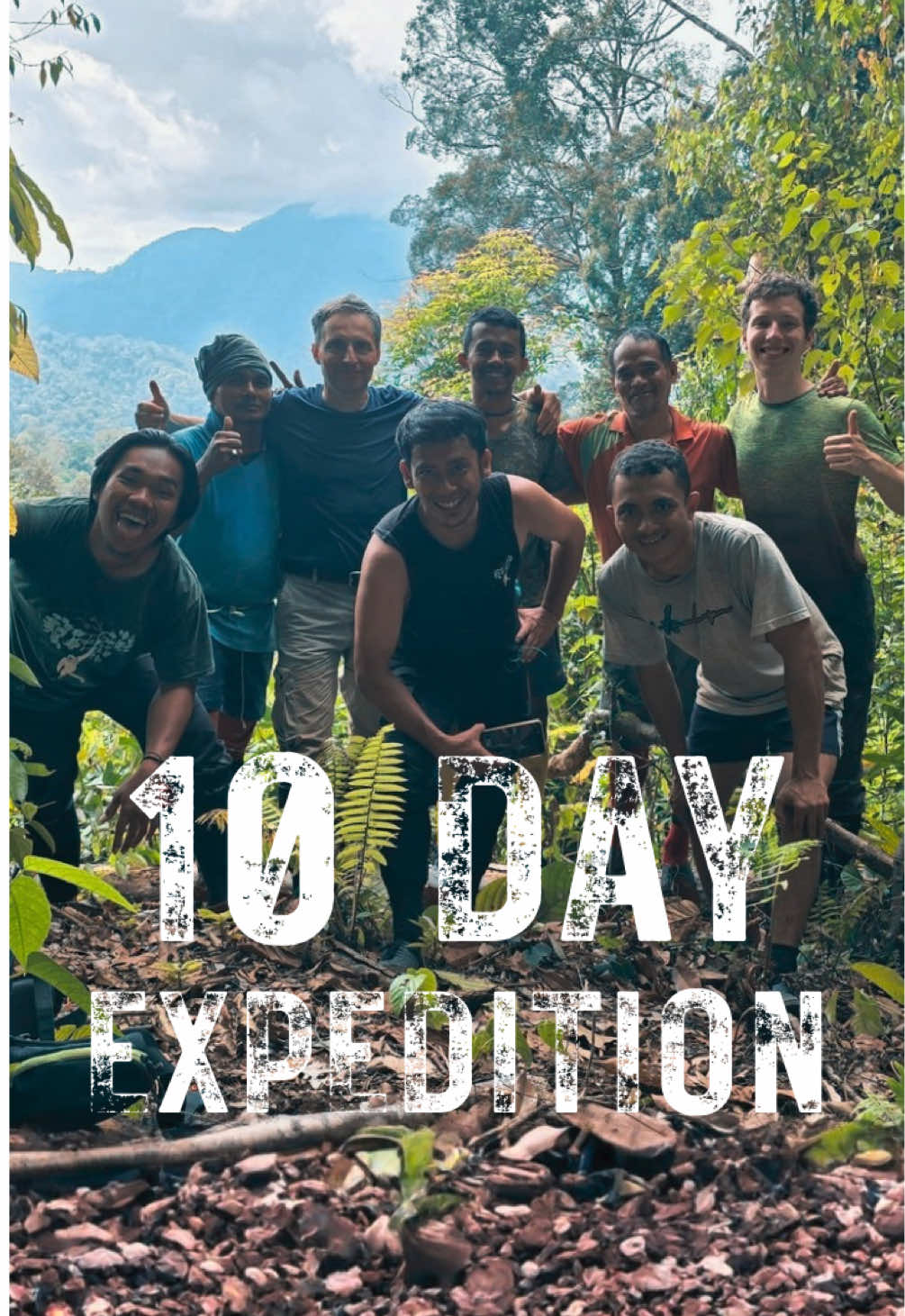 @The Jungle Guide