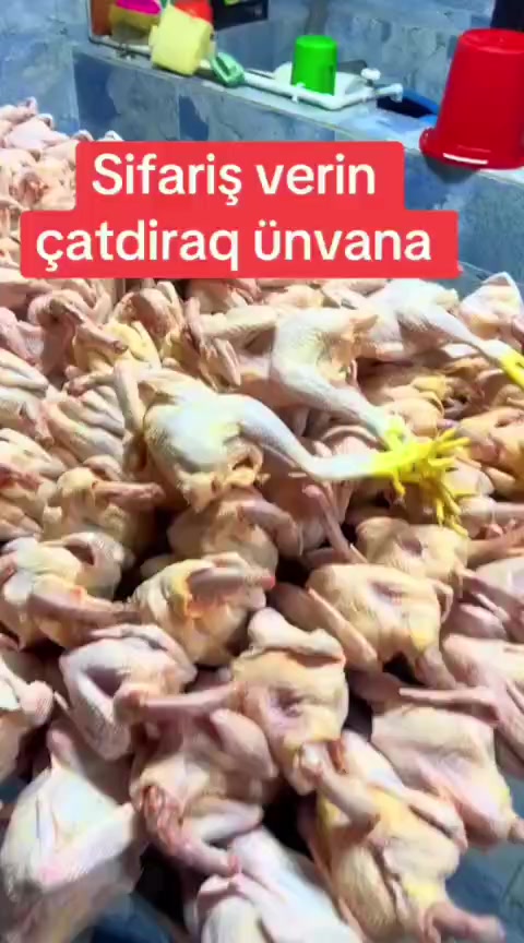 @Cenub_sebeti_ibAy