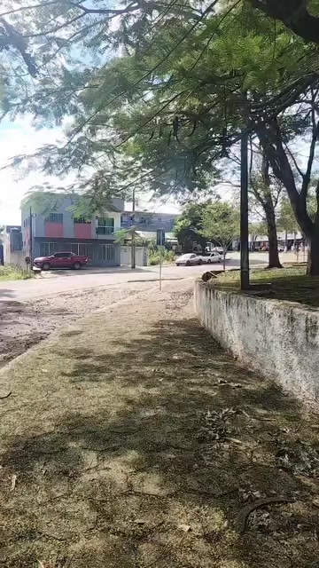 @deniz yûzgari
