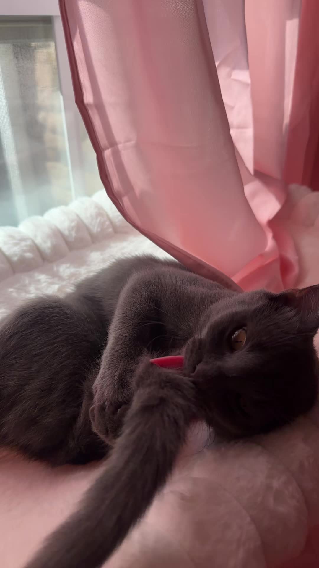 @Shanaya ❤︎