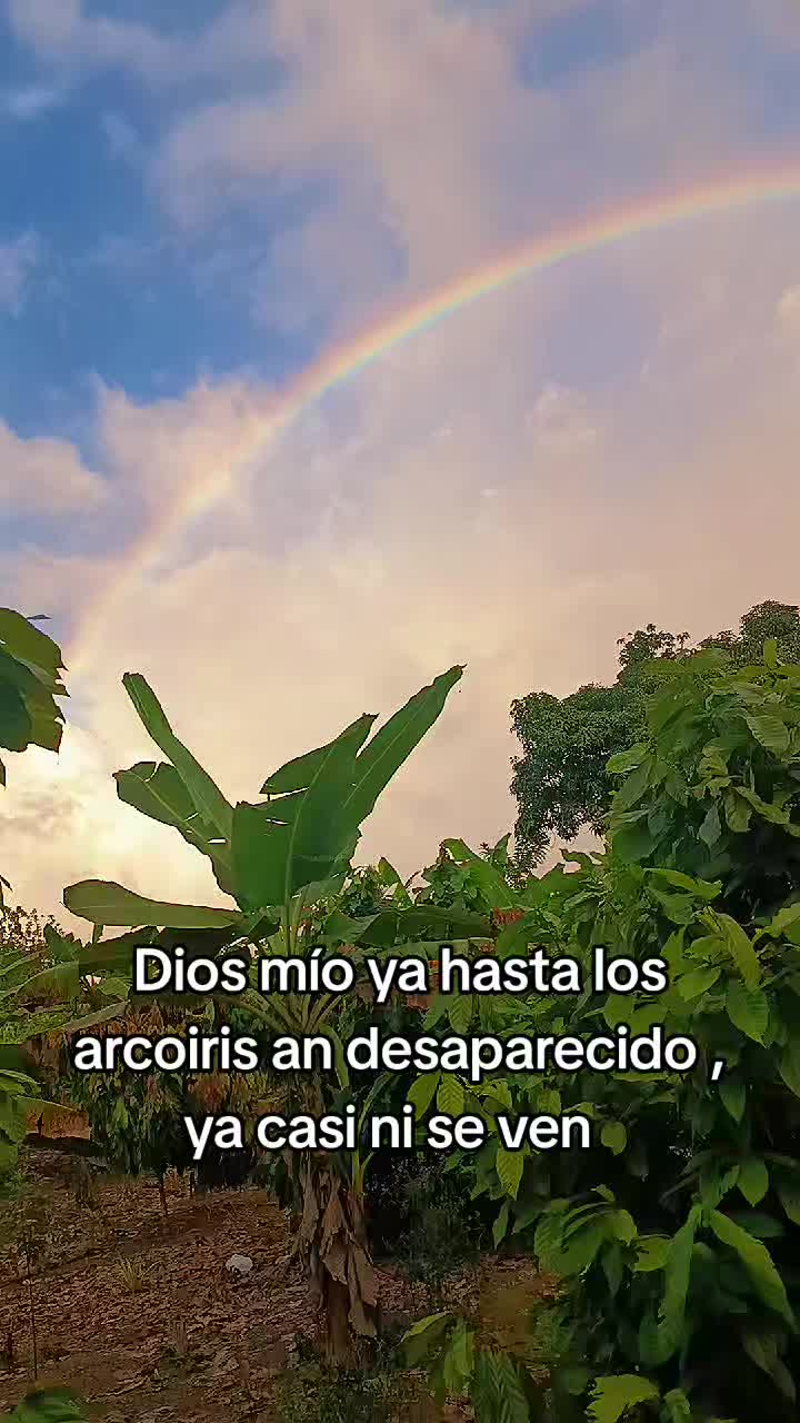@Lil ⚡💥