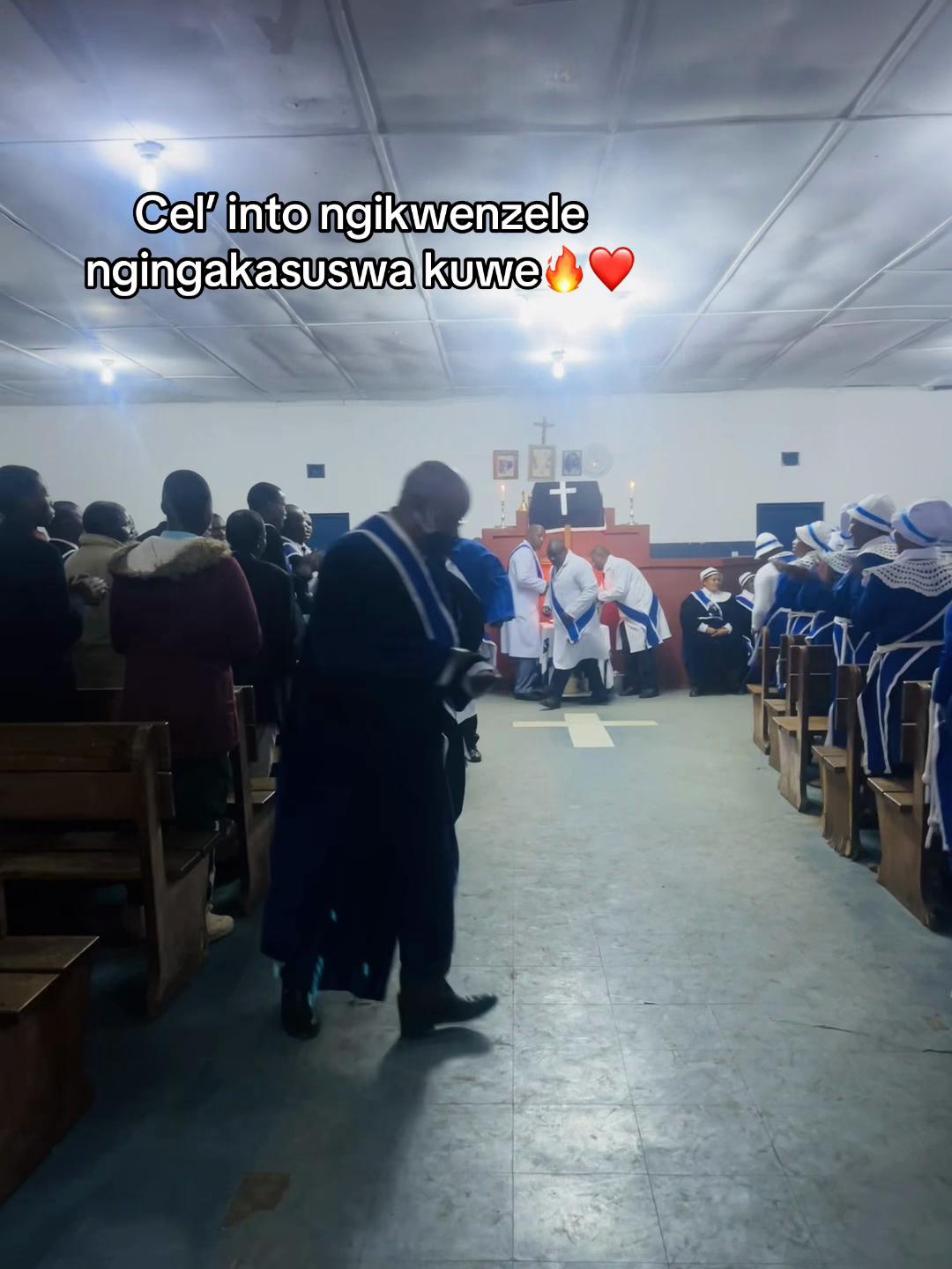 @oGojasii