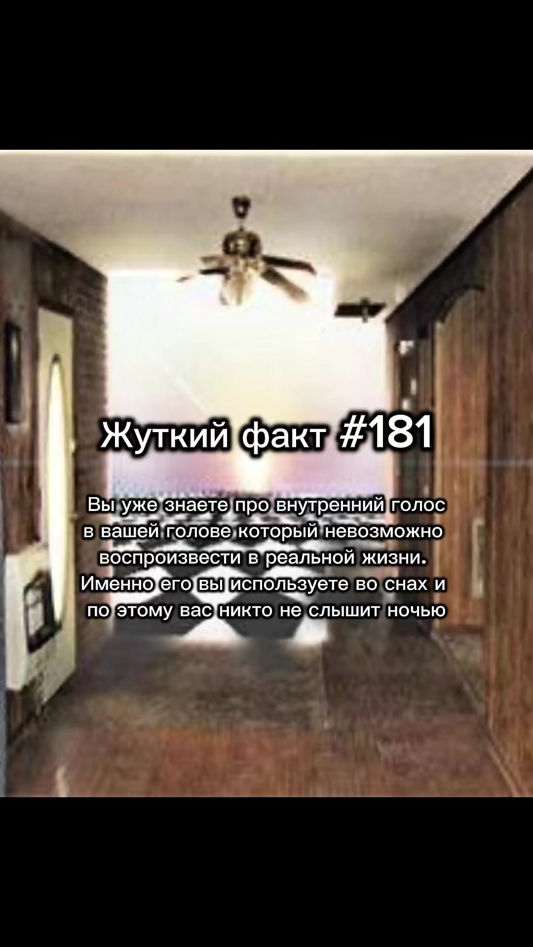 @darkwhispers