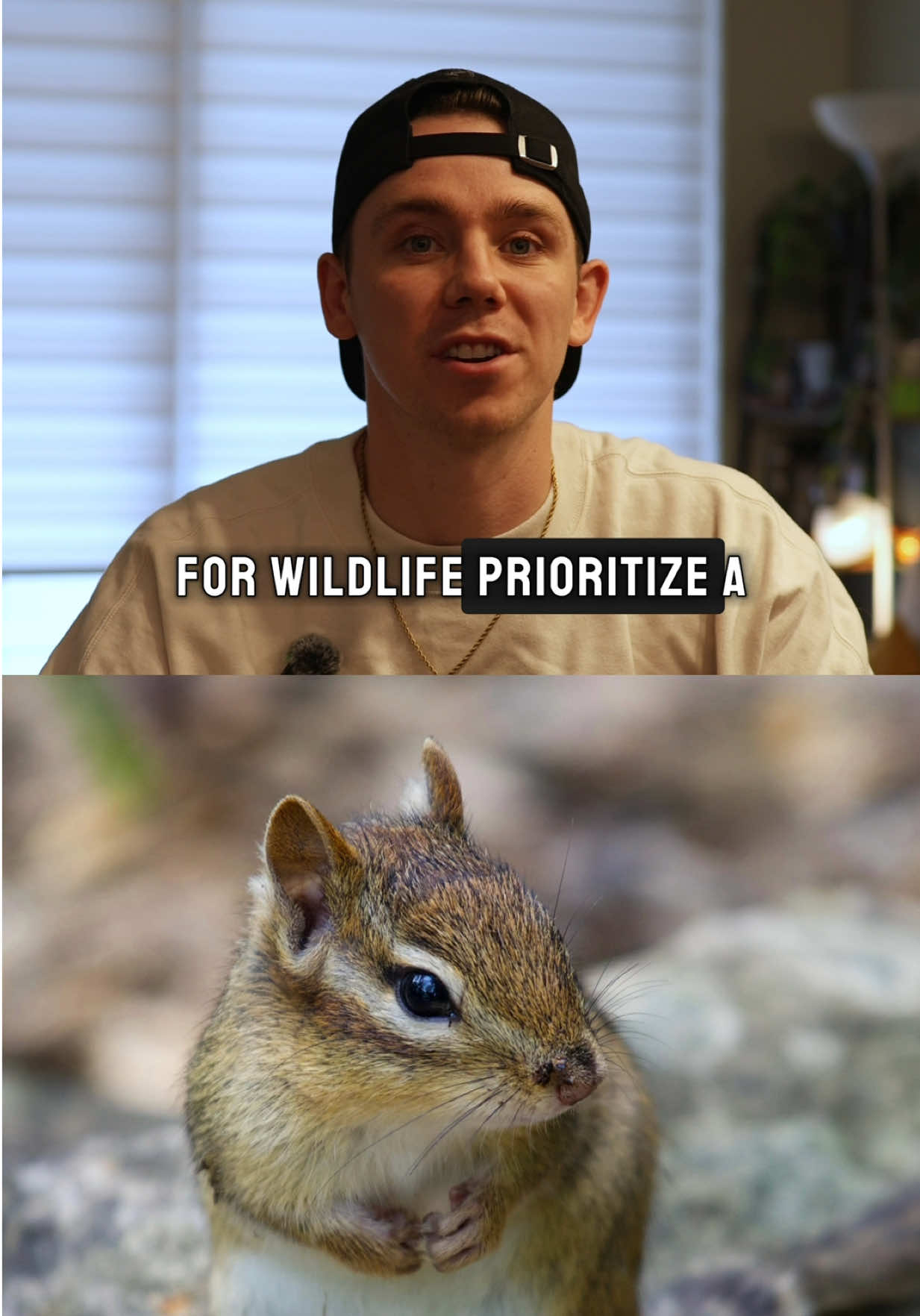 @Kevin Wilcox