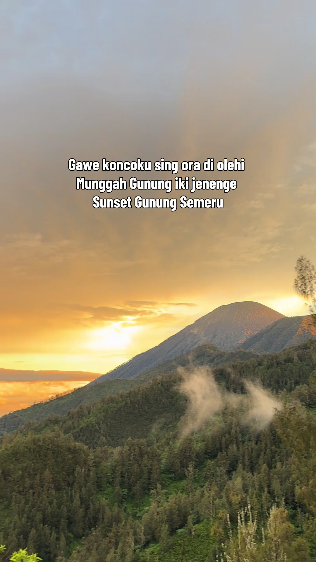 @irpan_pirlian
