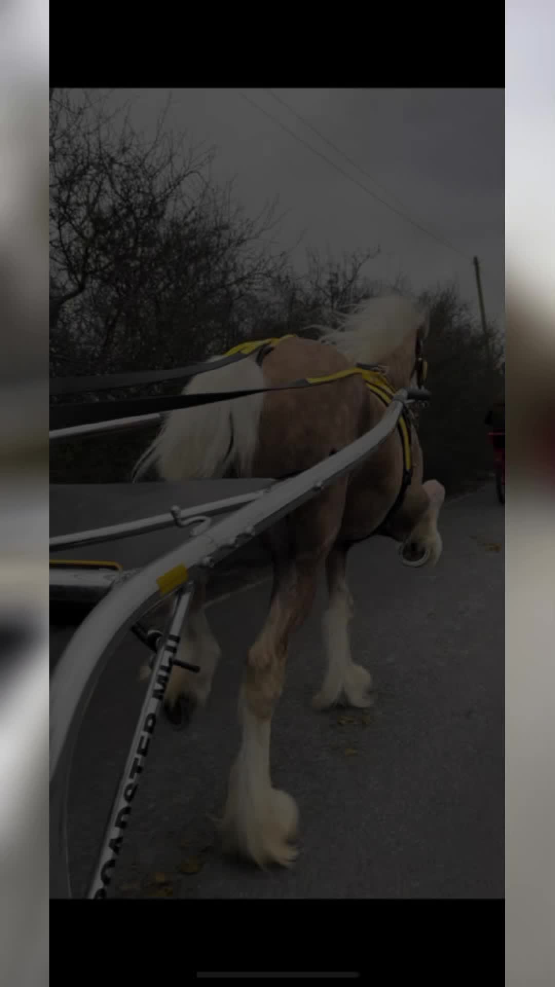 @Amy boswell