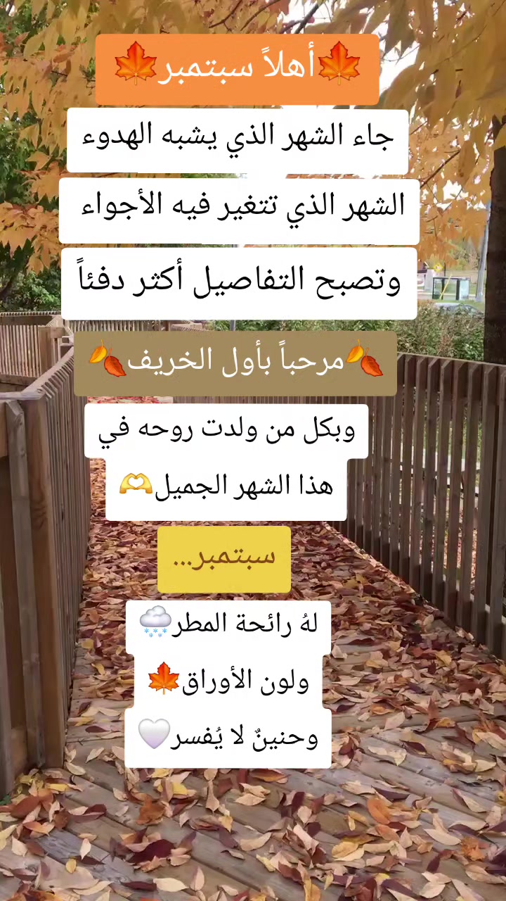 @Nour🌺🌸