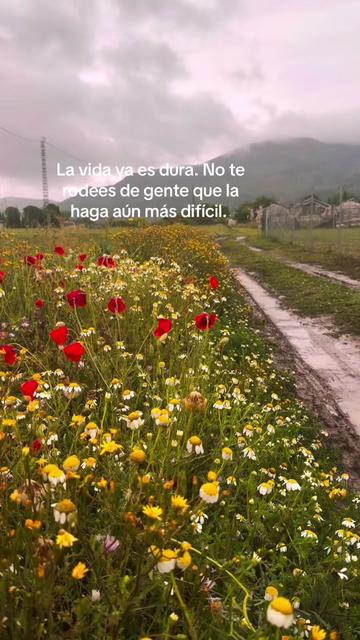 @Marian Sumoza