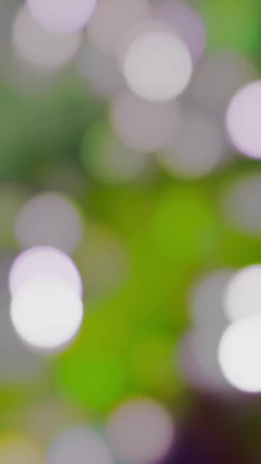 @🔥_𝐏𝐢𝐜𝐡𝐢 𝐌𝐚𝐫𝐮𝐟_🔥