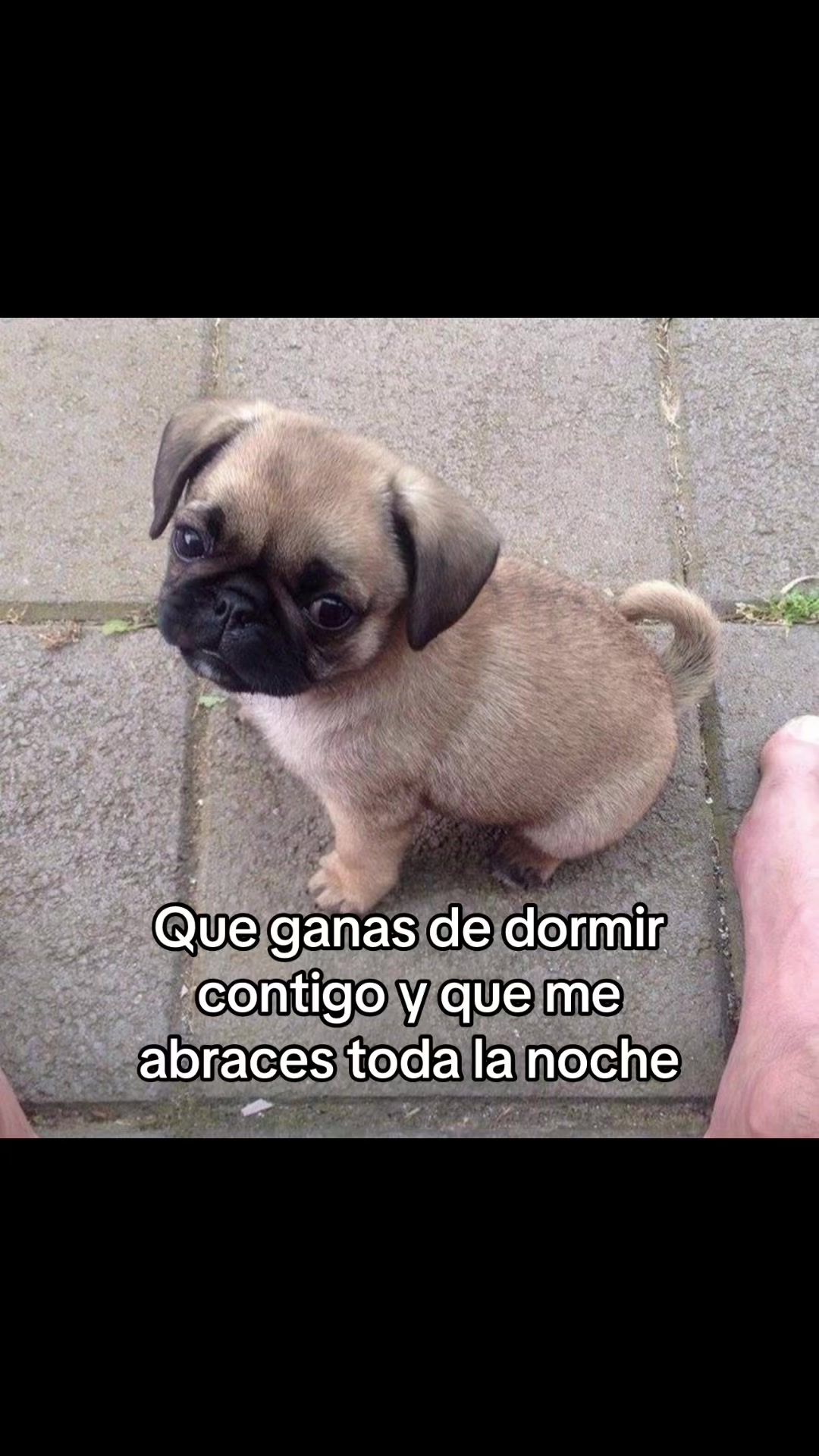 @saulburgosp2.0