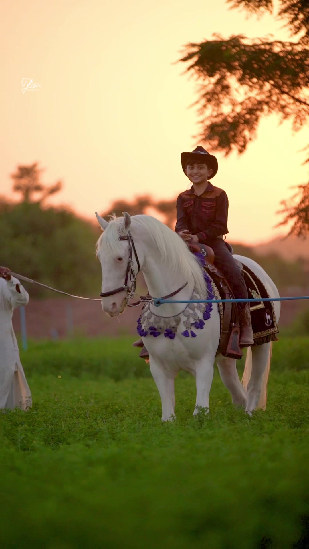 @☀️SUNRISE 🐎FARMS Rawalpindi
