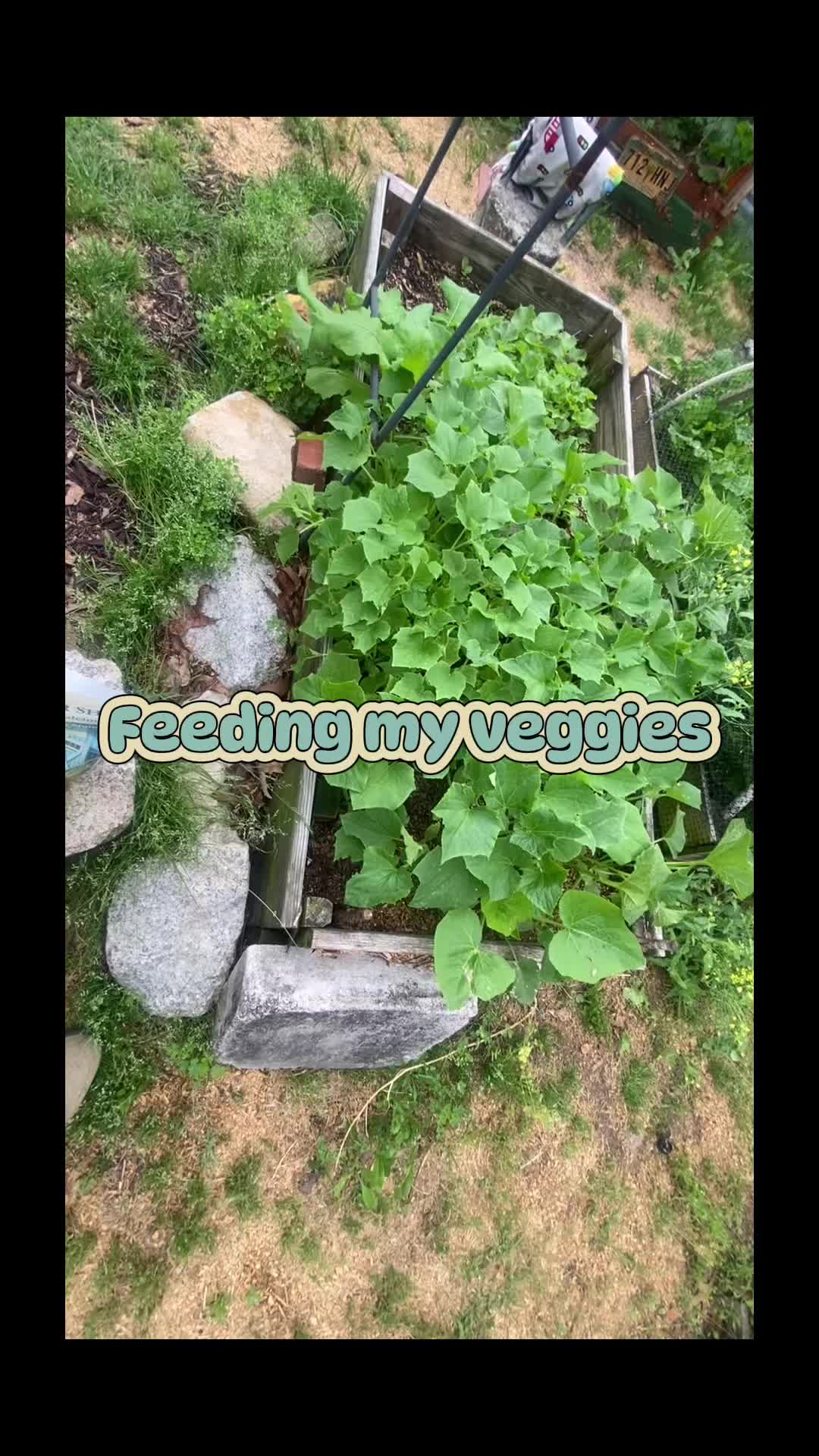 @desjhubbard