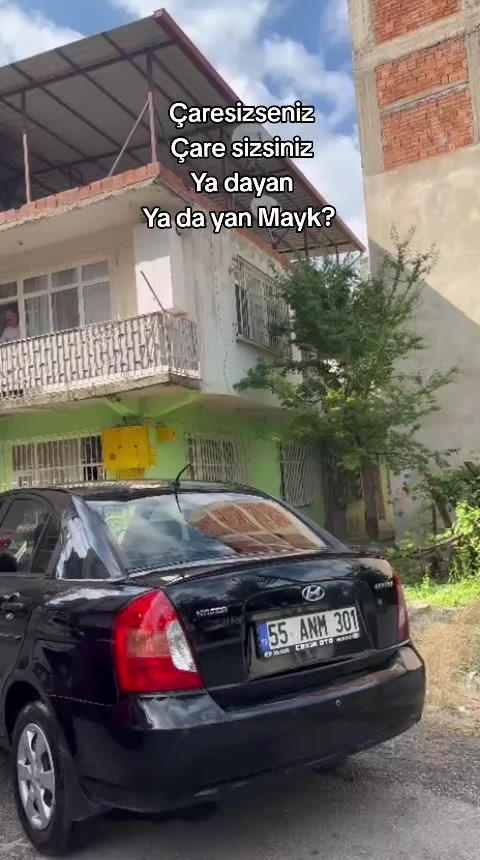@55ANM301