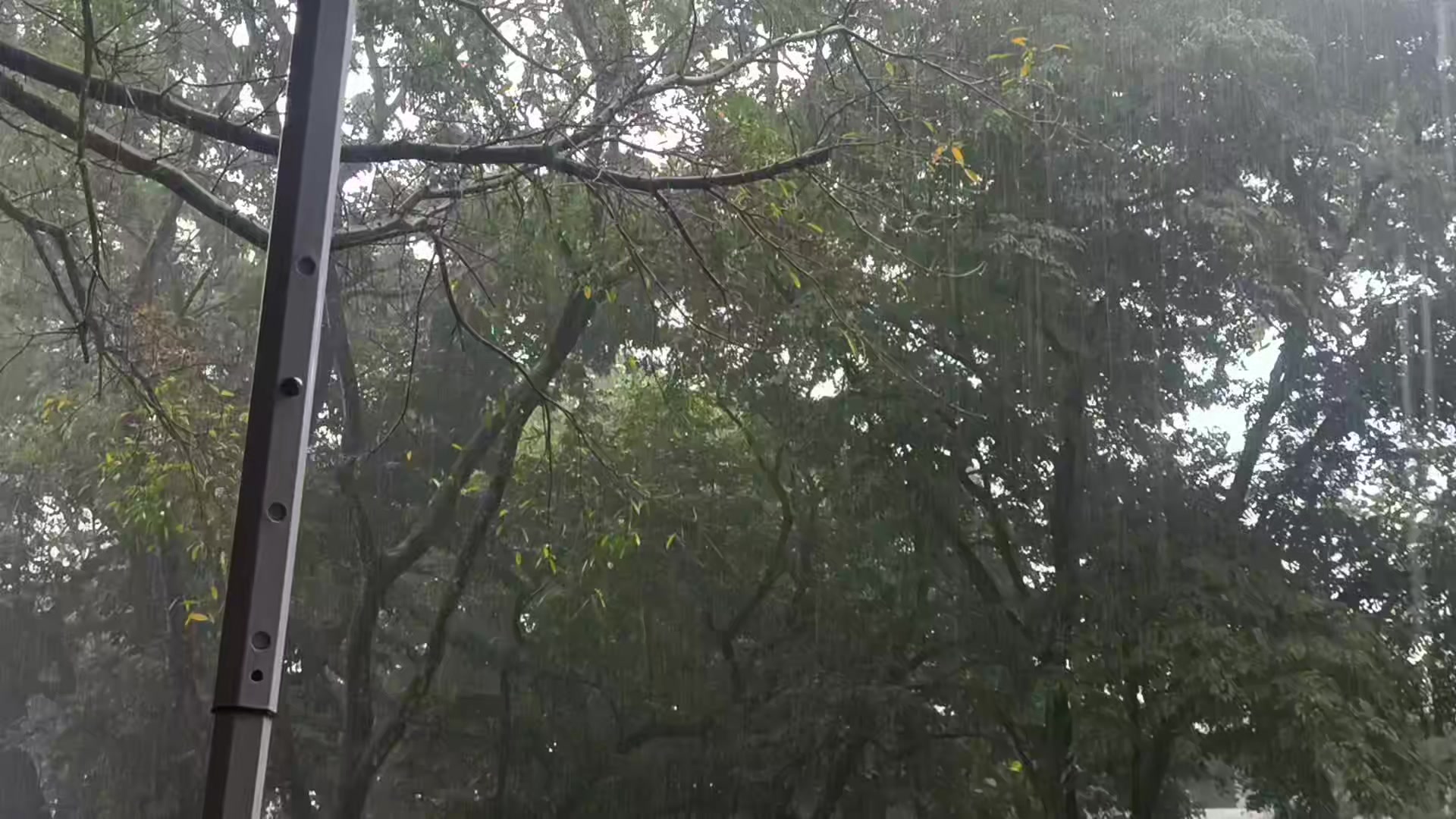 @PAW Mtb rides