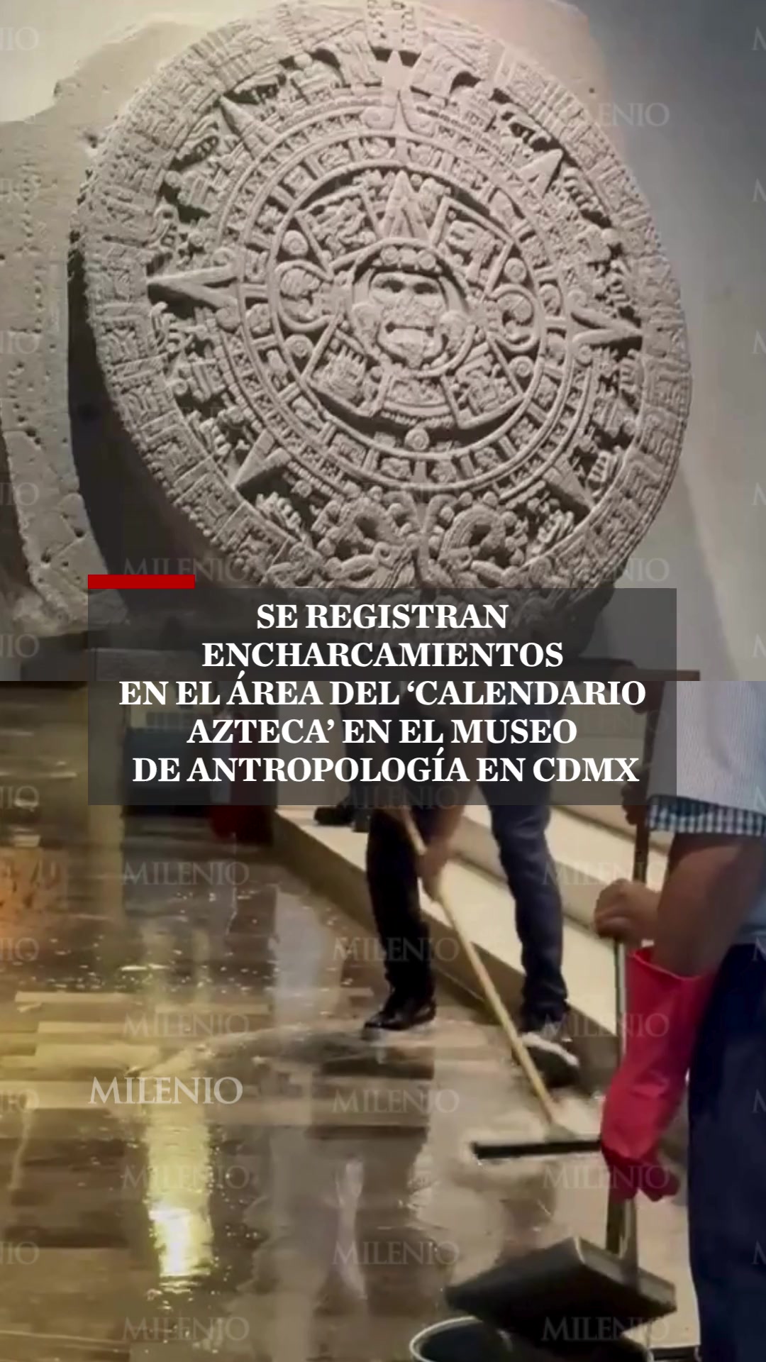 @MILENIO