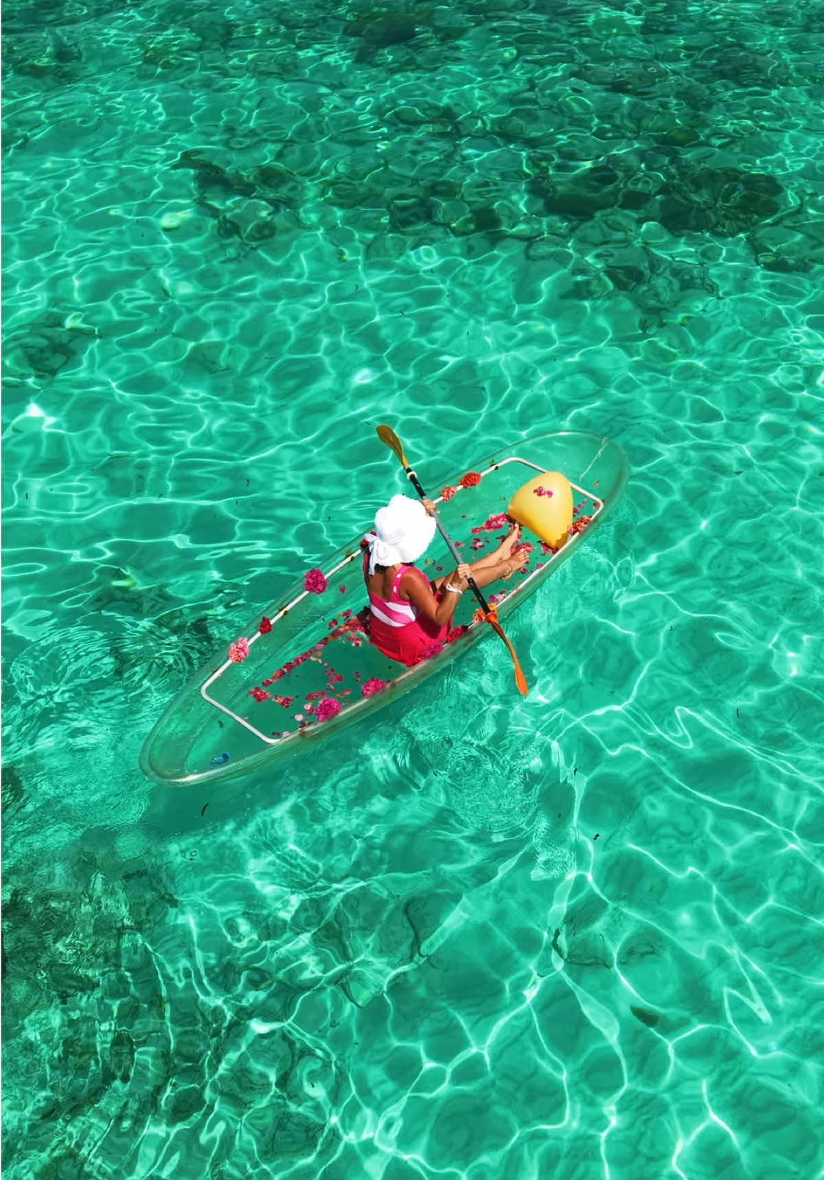 @ZANZIBAR