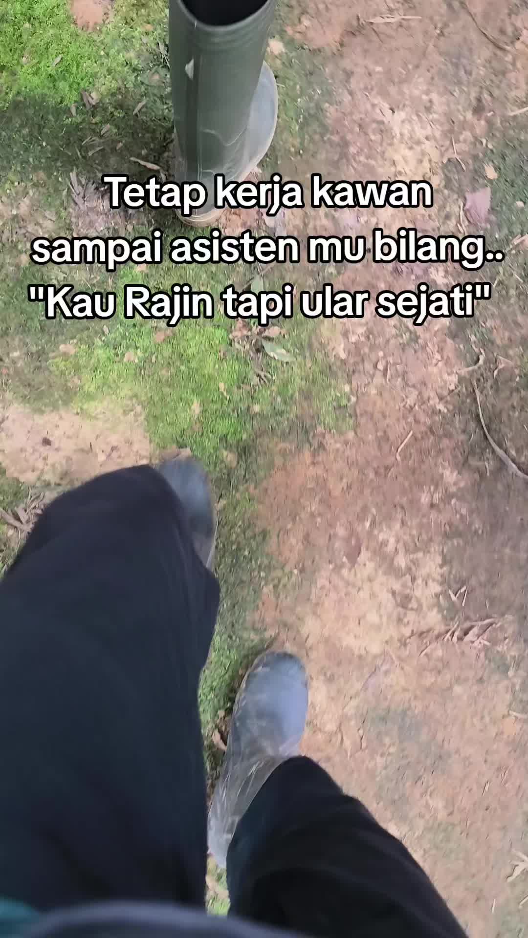 @Ren_dy🚀