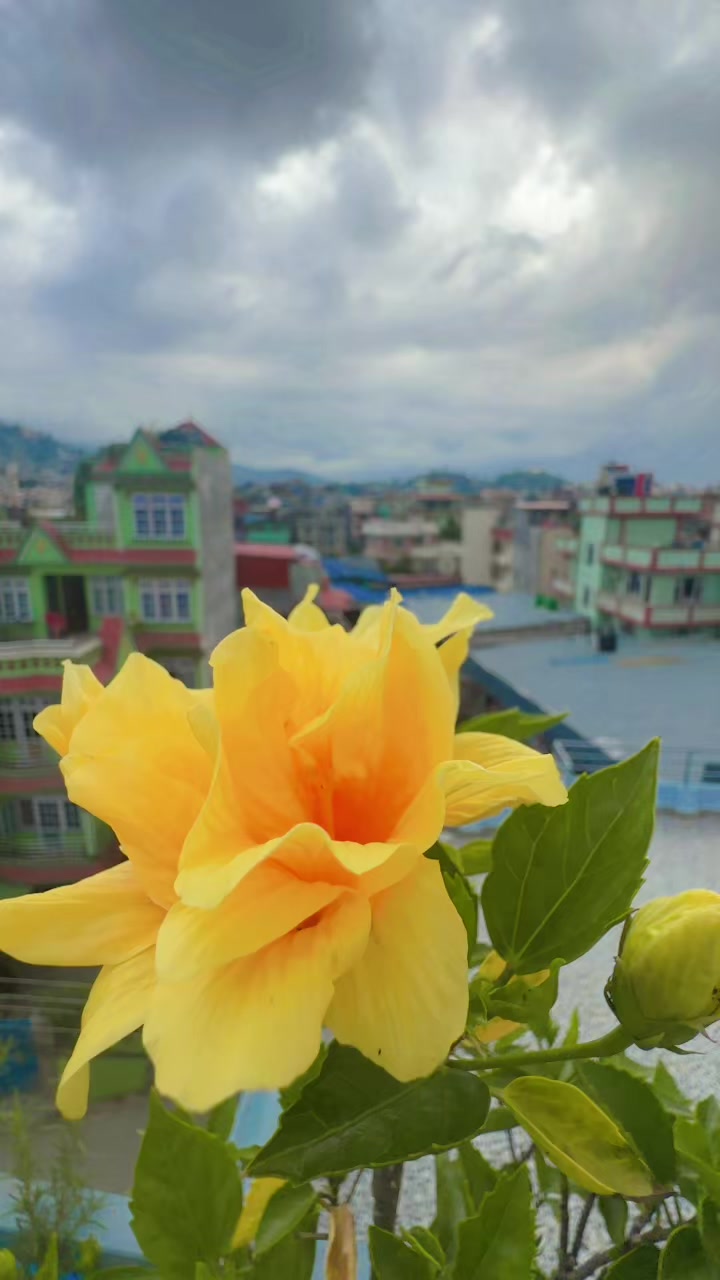 @Mina Adhikari Bartaula