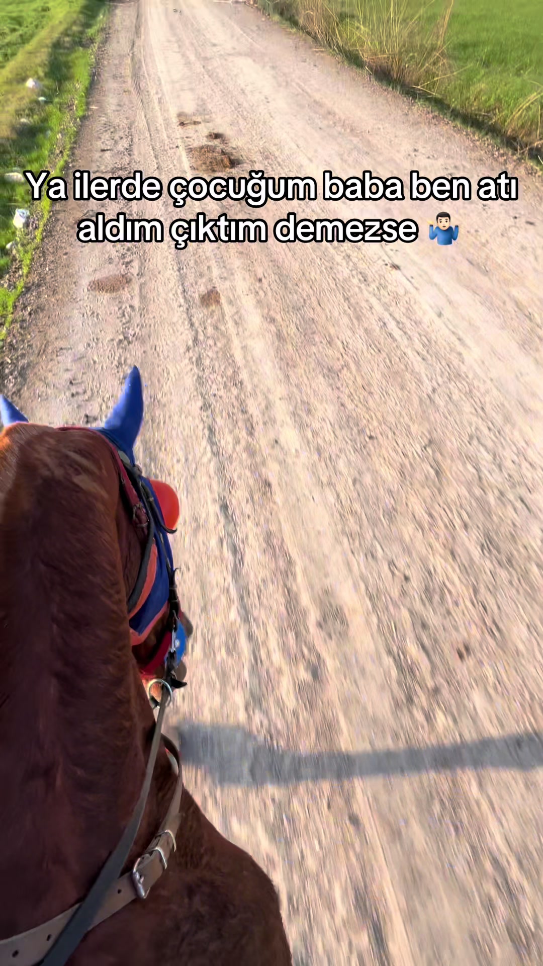 @rasimcan