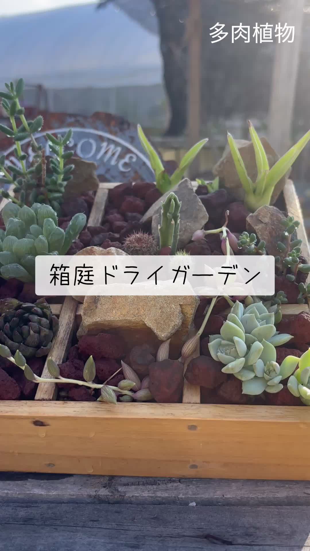 @さきゅまる~こぴとSHOP