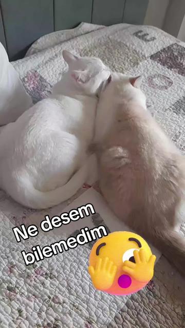 @güzel.günler