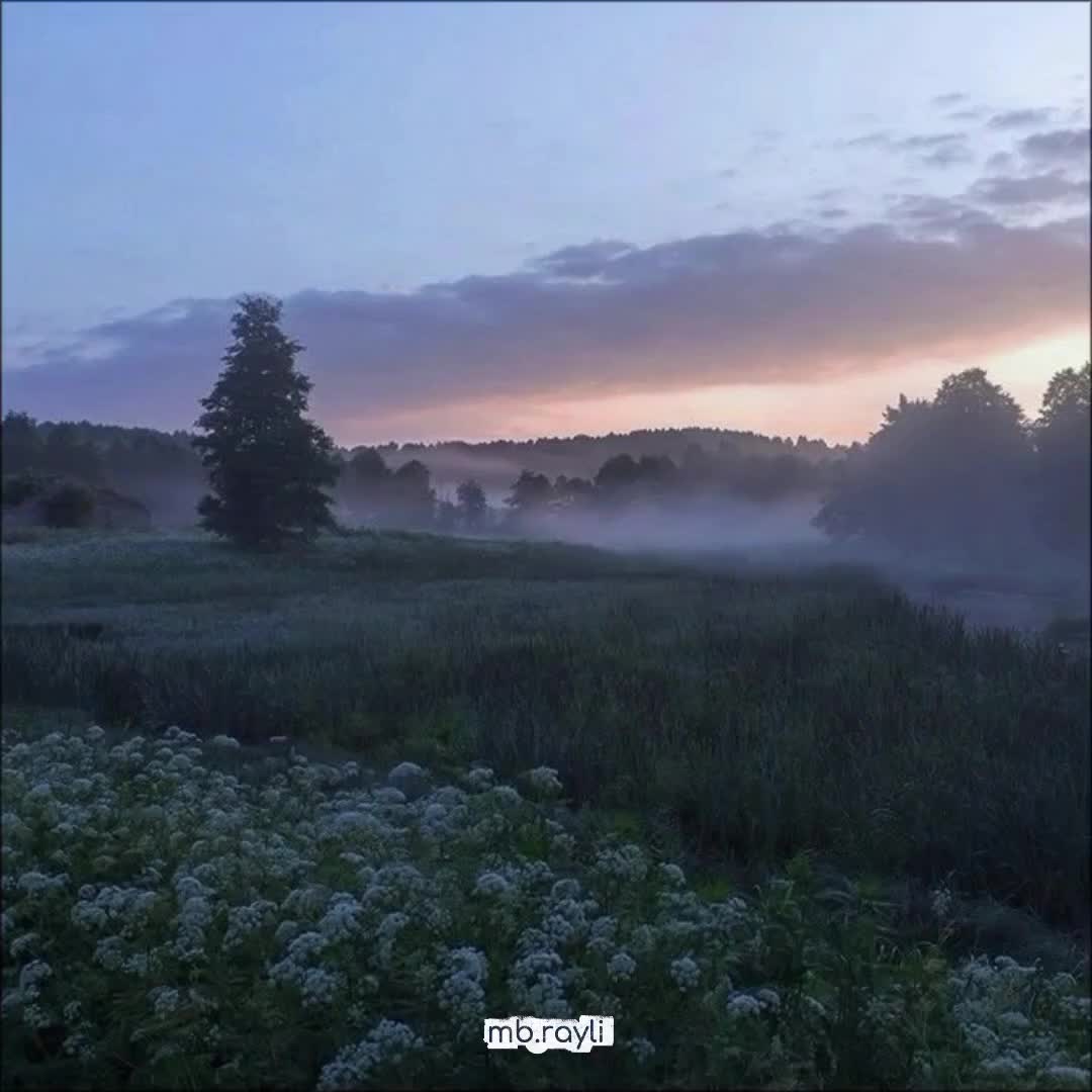@ᴍʙ.ʀᴀʏʟɪ