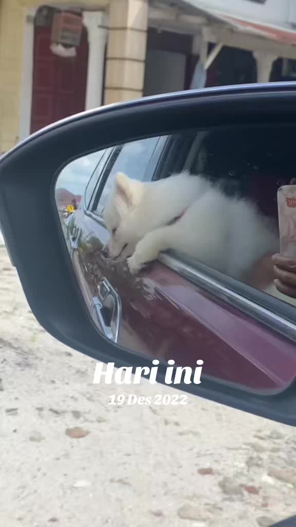@Risweni Sirait-MUA