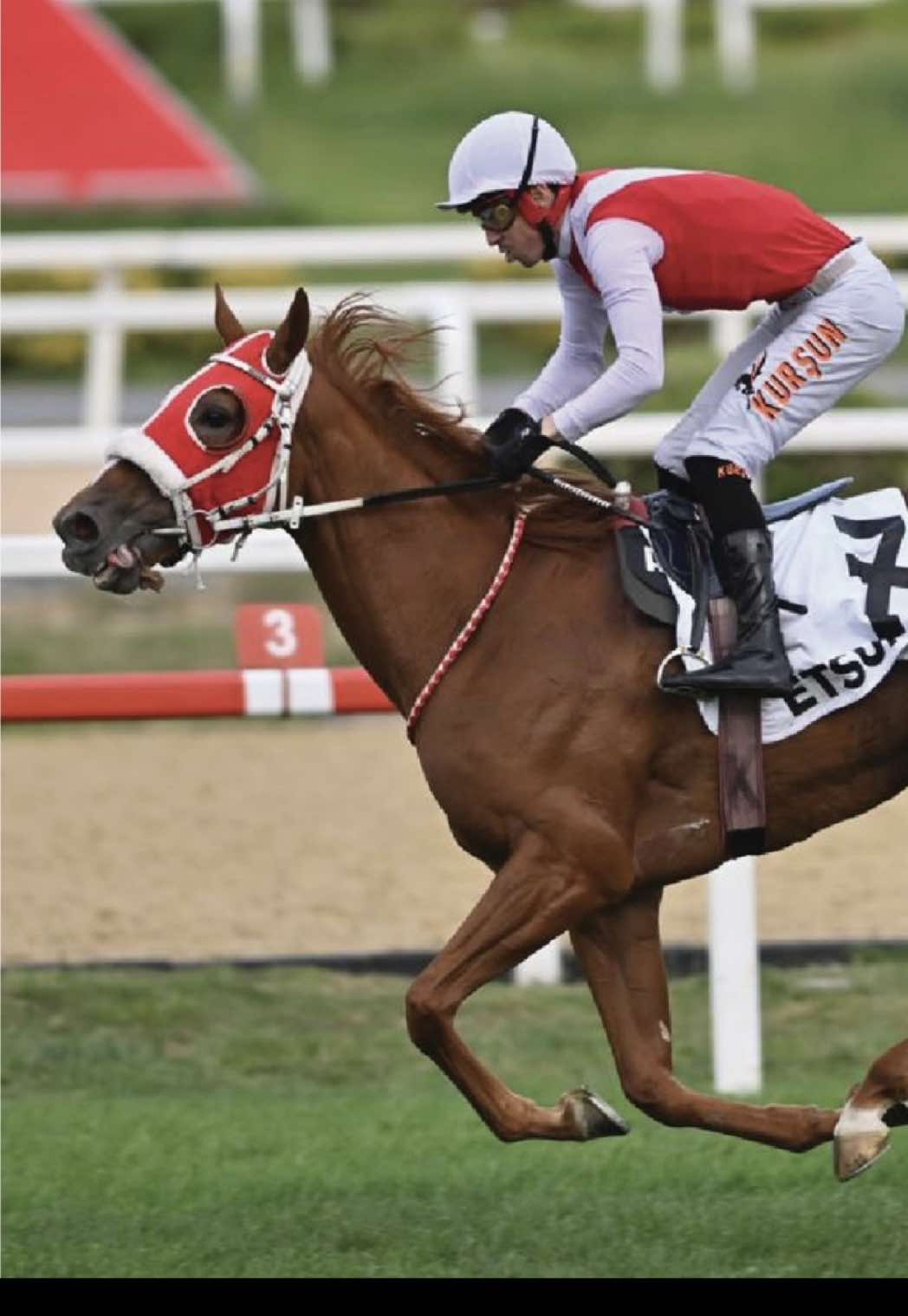 @👑 PİSTİN ŞAMPİYONLARI 👑