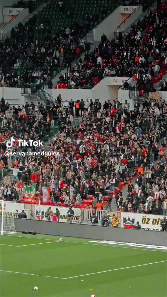 @fenerbahçe SK