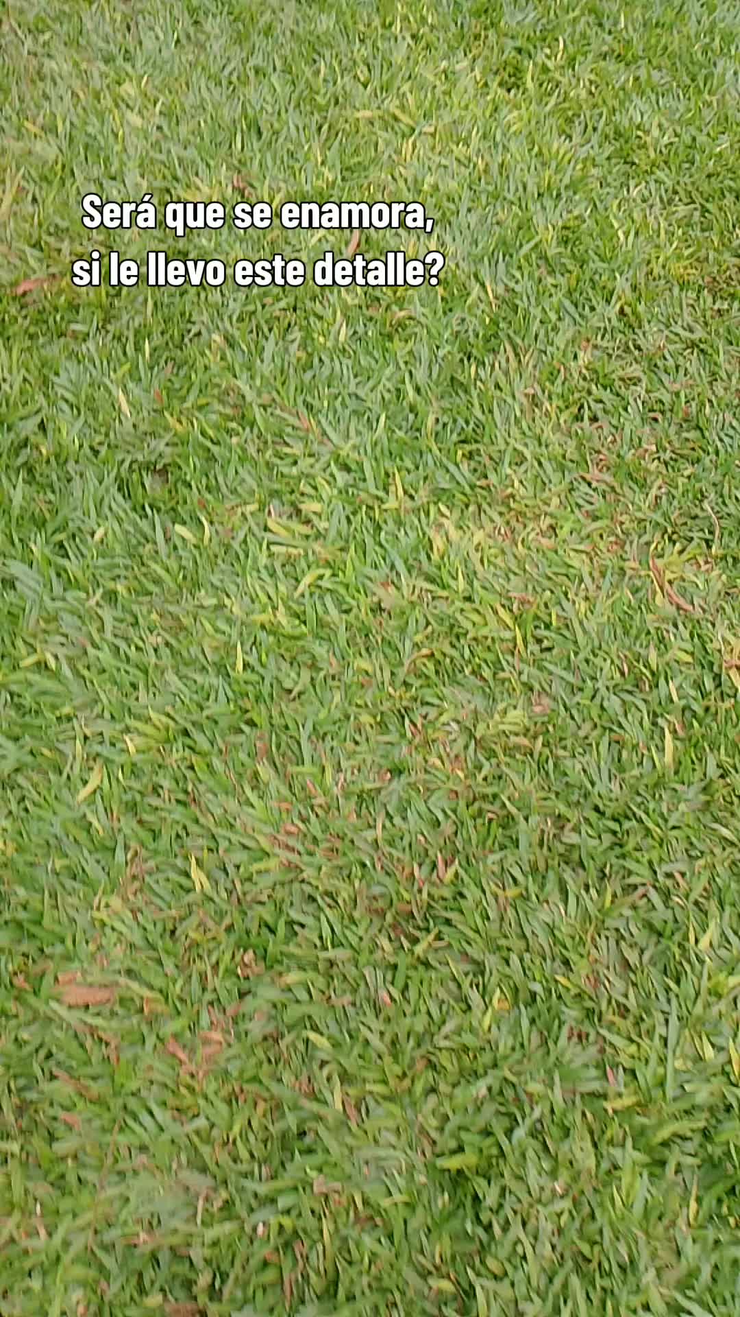 @F.C.D