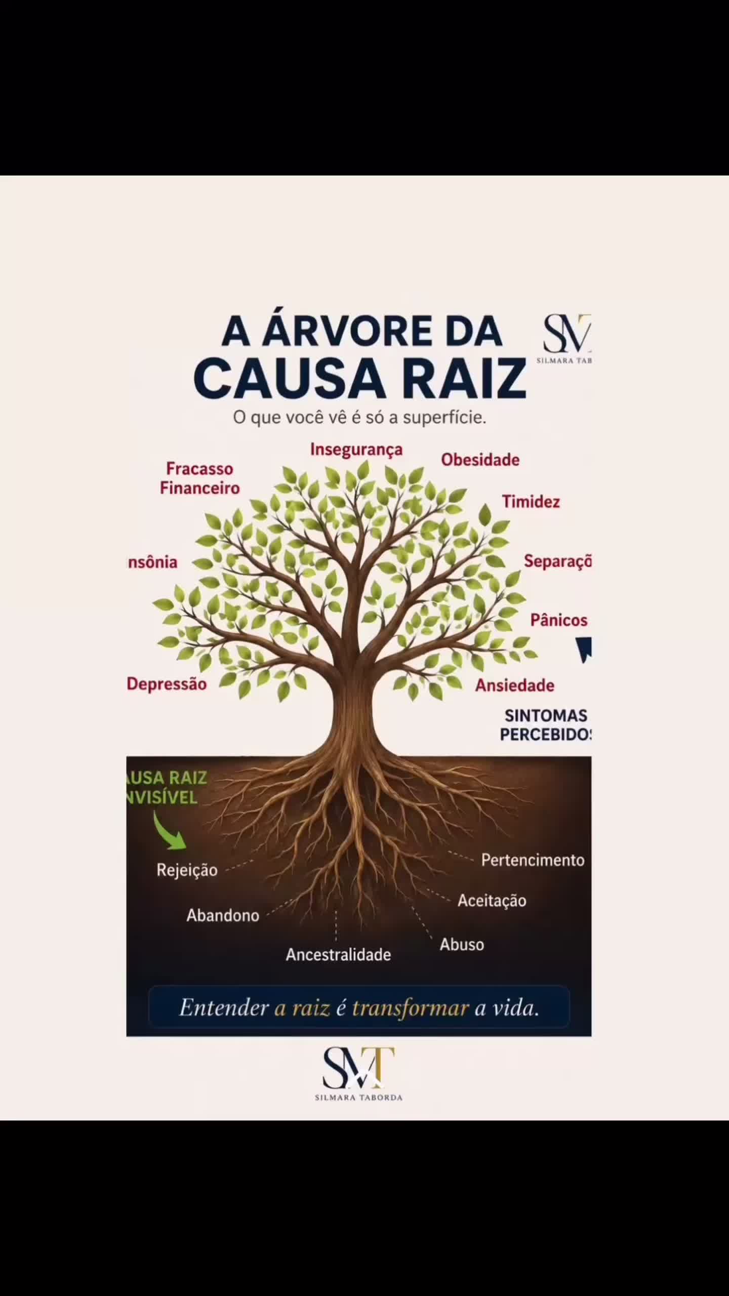 @silmaramtaborda
