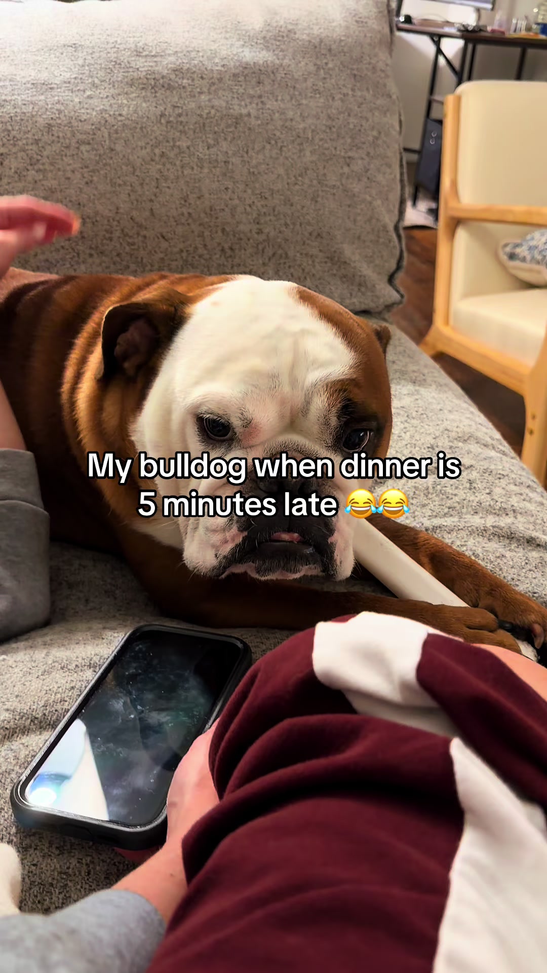 @Poptart & Patches