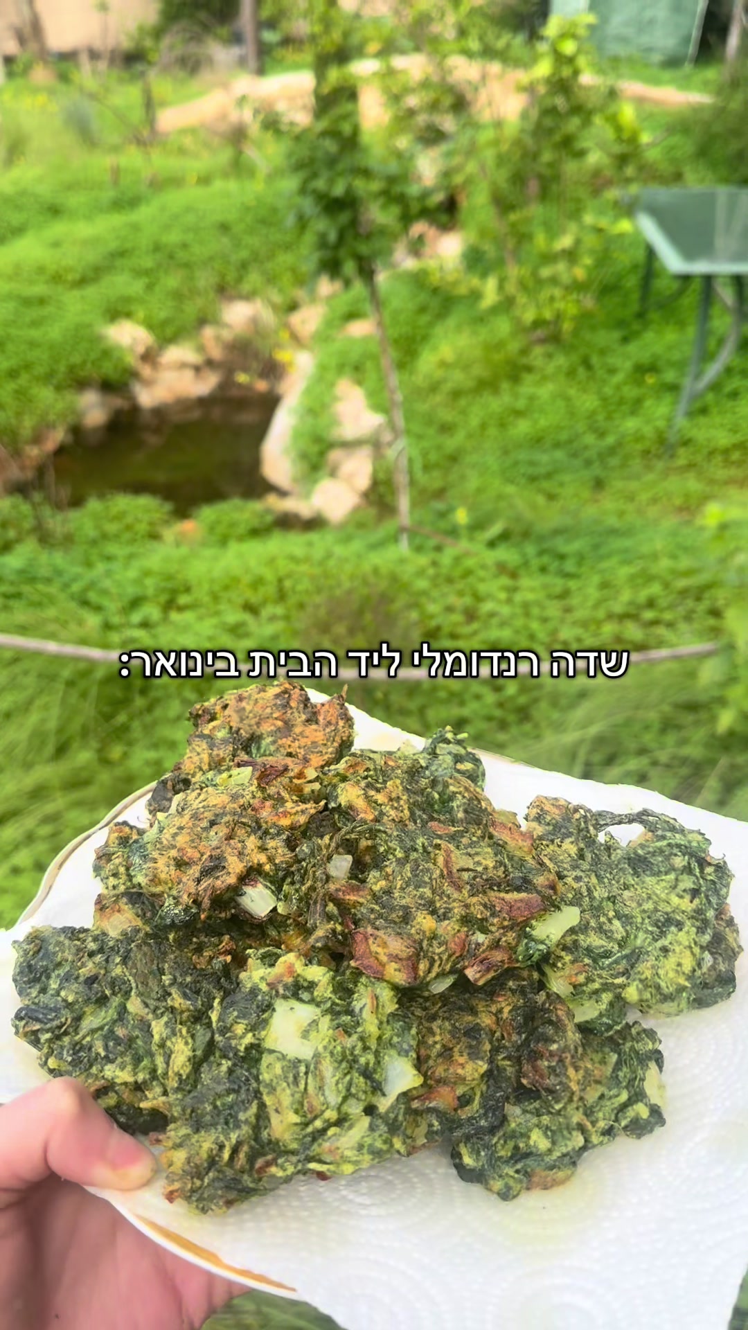 @מאיוש קושקוש