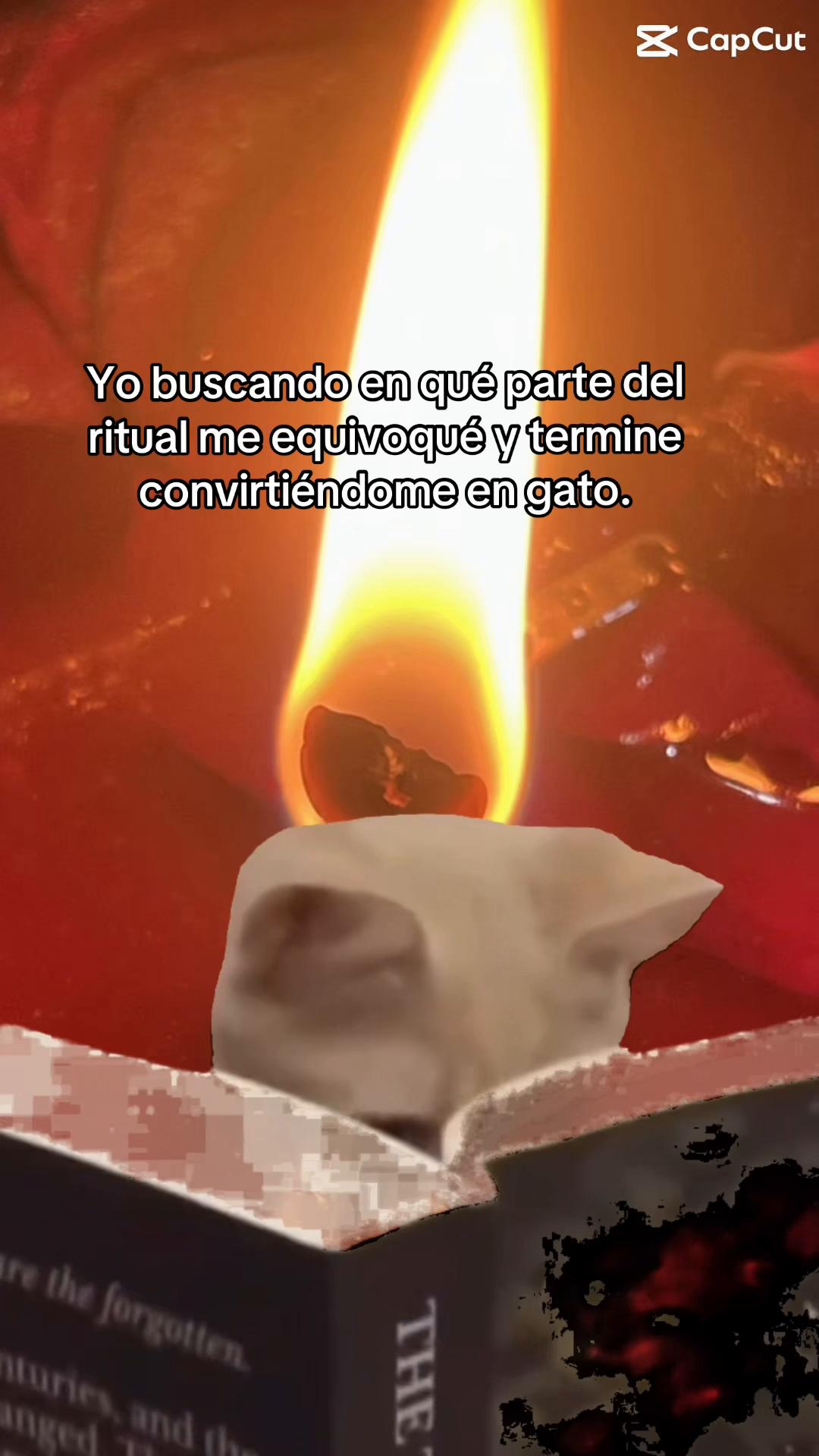 @Izobel