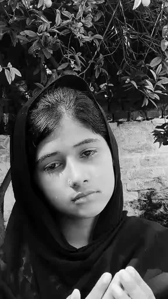 @Bakhtwar arani