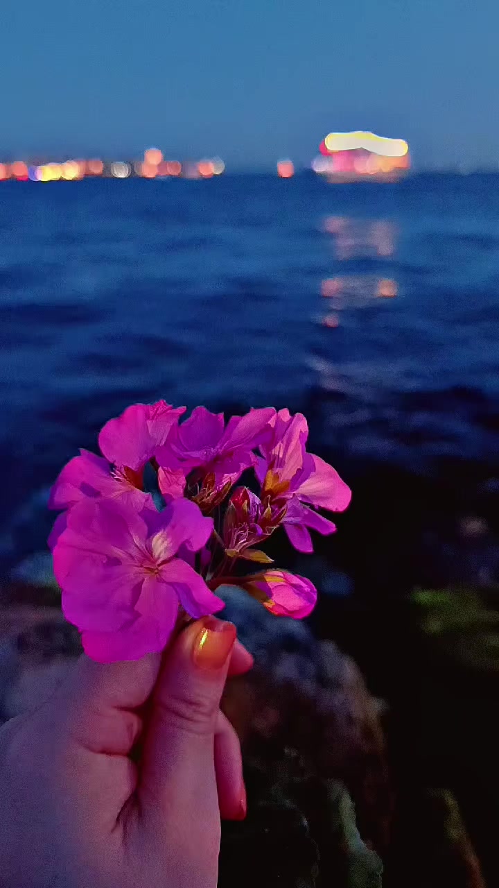 @☆𝑵𝒆𝒔𝒓𝒊𝒏𝒆☆
