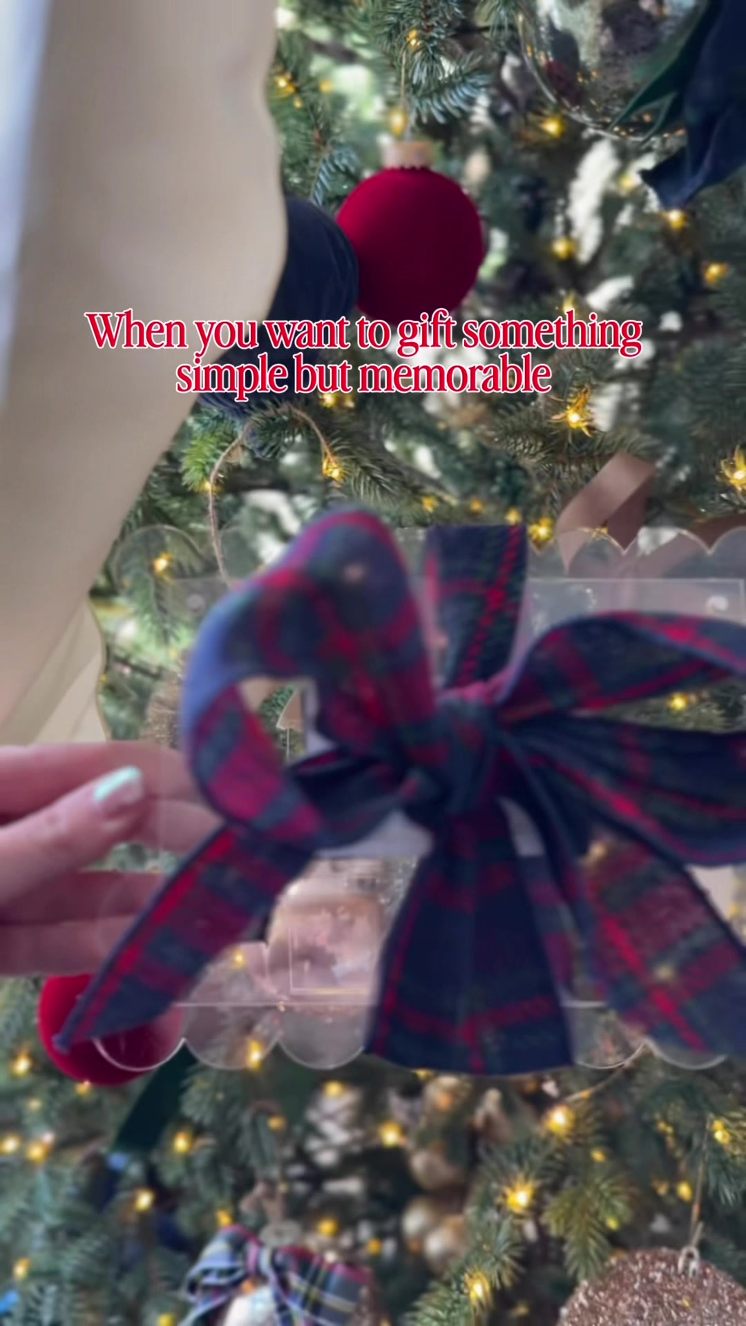 @Amanda Albrecht