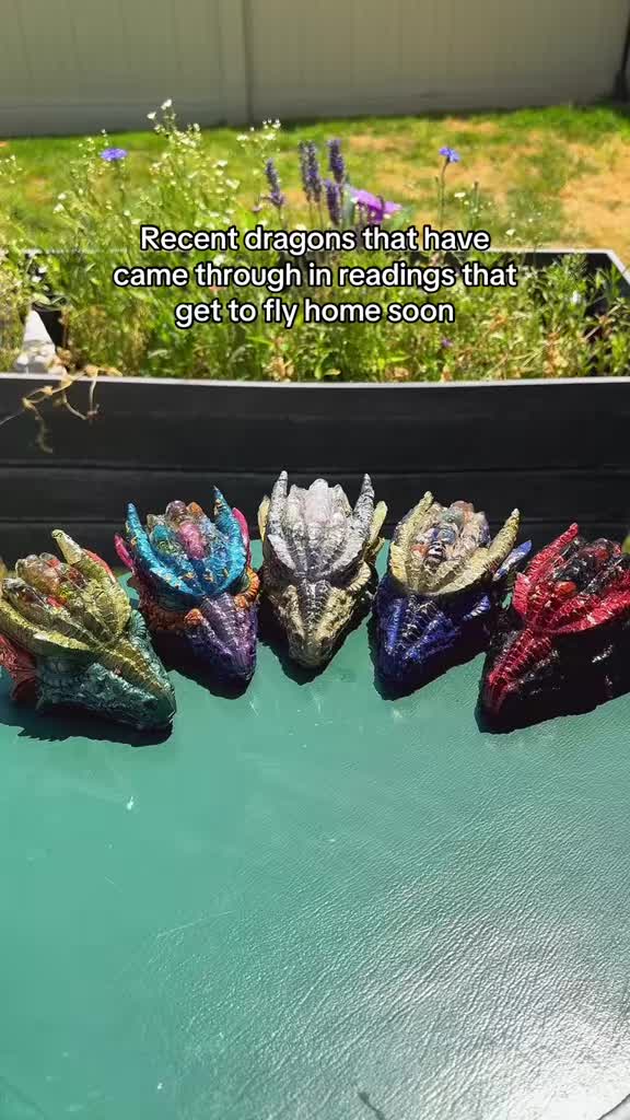 @Merlyn The Dragon Alchemist 🐉