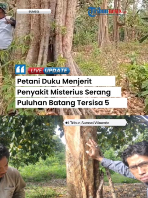 @Tribunnews