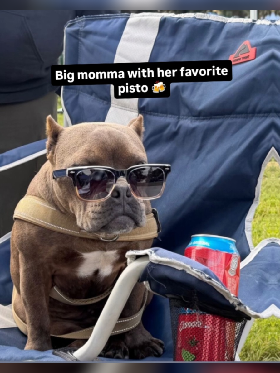 @Rigo Perez858