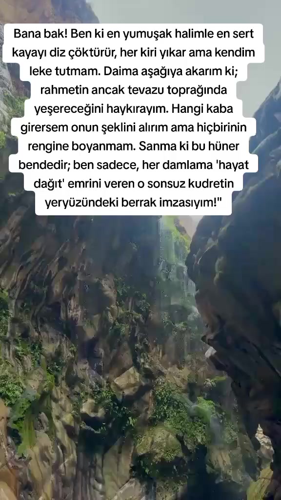 @Kadim Kartal(yazar)