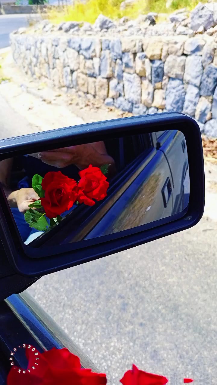 @lavendr81